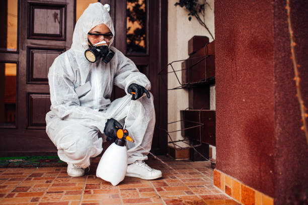 Reliable Bed Bug Control contractor in Tarrant, AL by Nex Pest Control